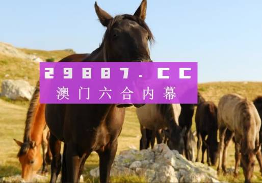 494949澳门今晚开奖什么或新奥门管家婆免费大全与警惕虚假宣传-全面释义、解释与落实
